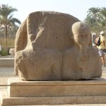 Gallery Thumbnail 9